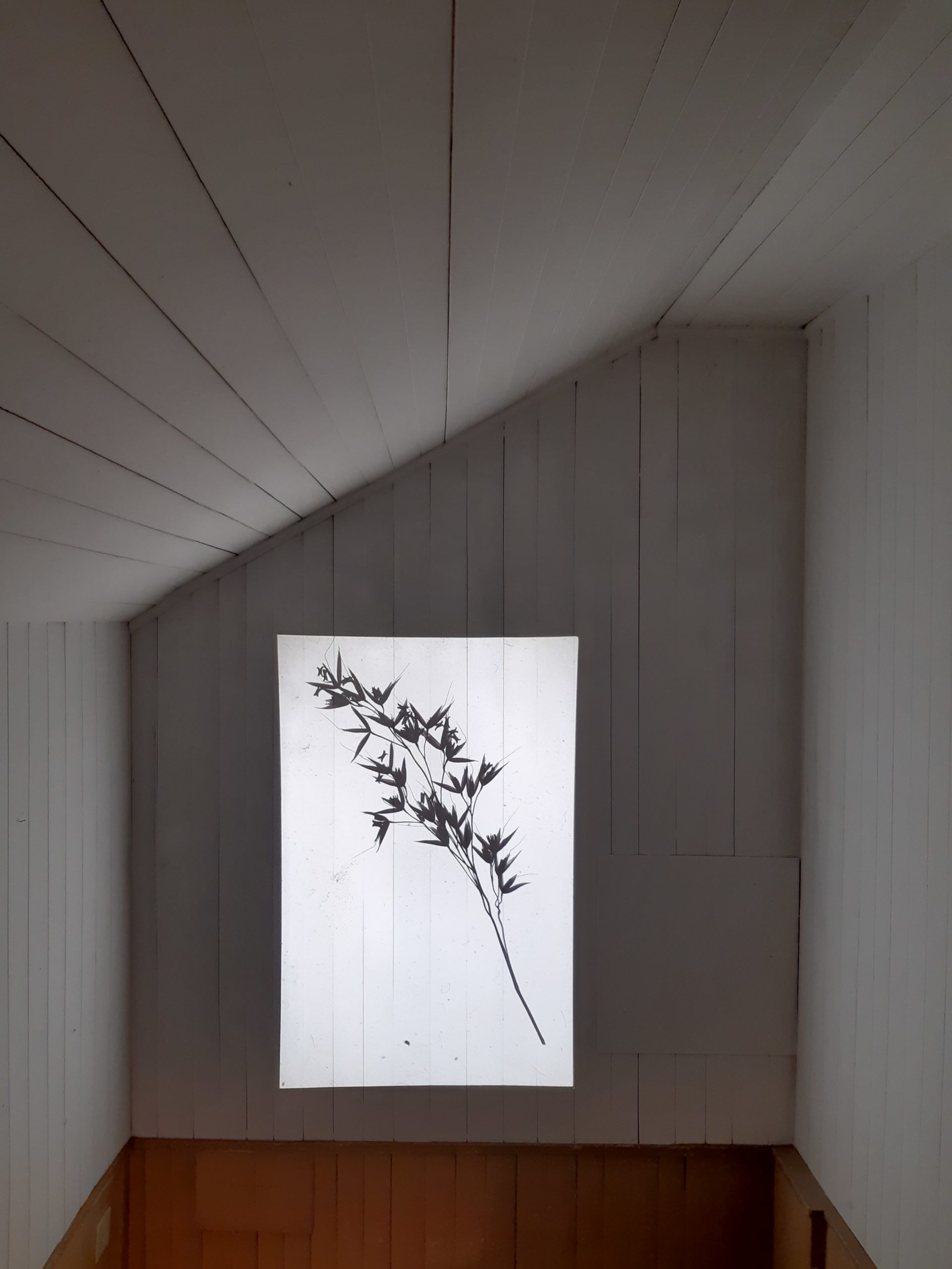 MirjamLandolt&NataliaWespi_NaturUnterGlas_Installation